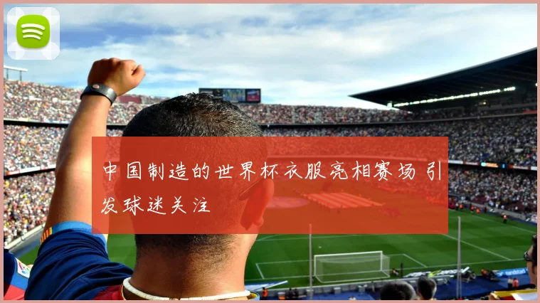中国制造的世界杯衣服亮相赛场 引发球迷关注