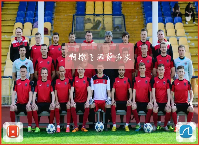世界杯买球软件全攻略：从功能对比到用户体验深度分析