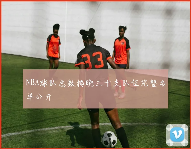 NBA球队总数揭晓三十支队伍完整名单公开