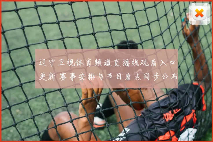 辽宁卫视体育频道直播线观看入口更新 赛事安排与节目看点同步公布