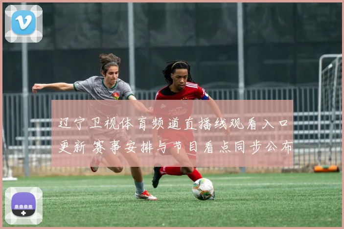 辽宁卫视体育频道直播线观看入口更新 赛事安排与节目看点同步公布