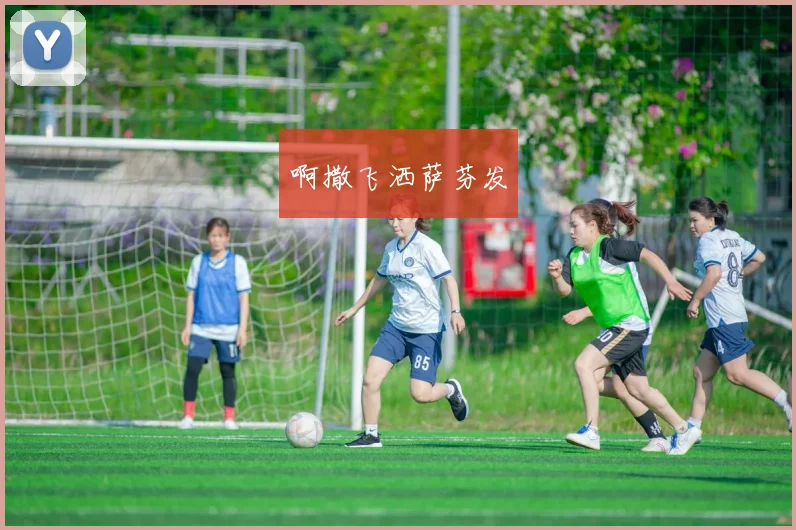 世界杯买球软件全攻略：从功能对比到用户体验深度分析