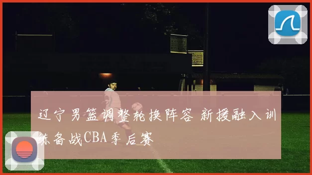 辽宁男篮调整轮换阵容 新援融入训练备战CBA季后赛
