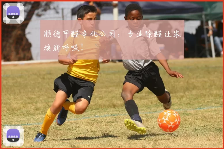 顺德甲醛净化公司，专业除醛让家焕新呼吸！