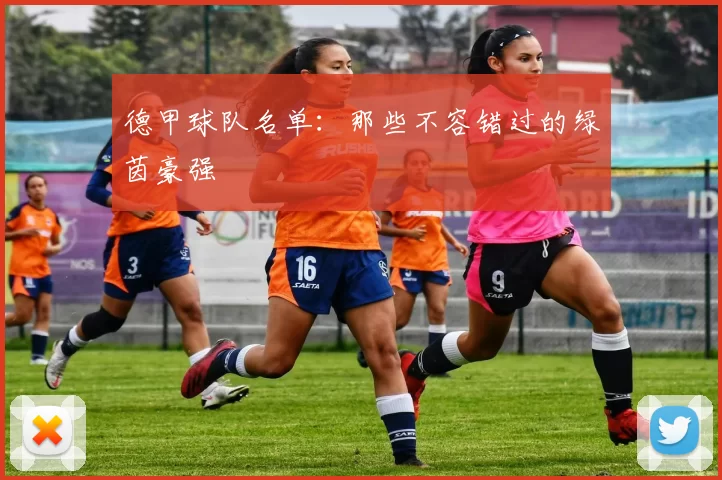 德甲球队名单:那些不容错过的绿茵豪强