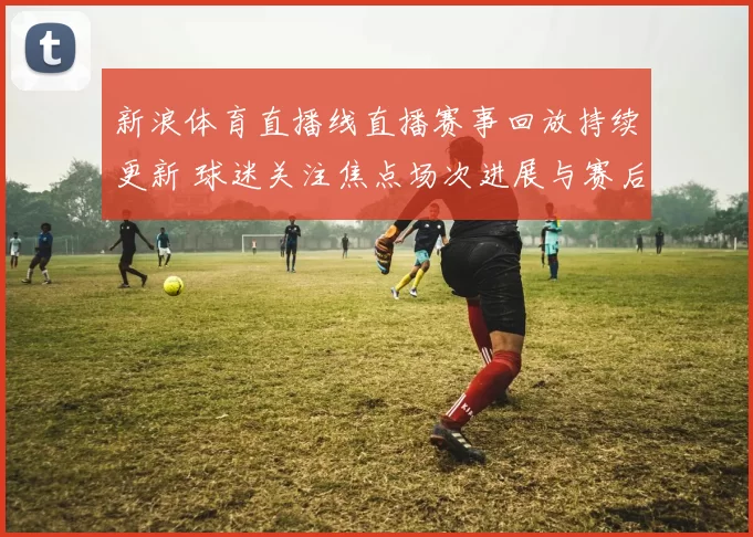 新浪体育直播线直播赛事回放持续更新 球迷关注焦点场次进展与赛后看点