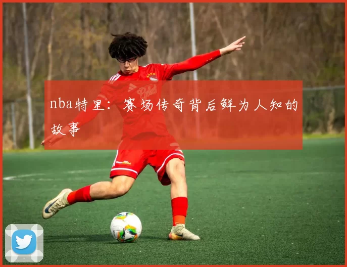 nba特里：赛场传奇背后鲜为人知的故事