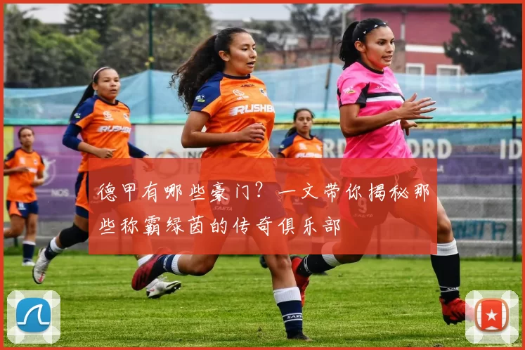 德甲有哪些豪门？一文带你揭秘那些称霸绿茵的传奇俱乐部