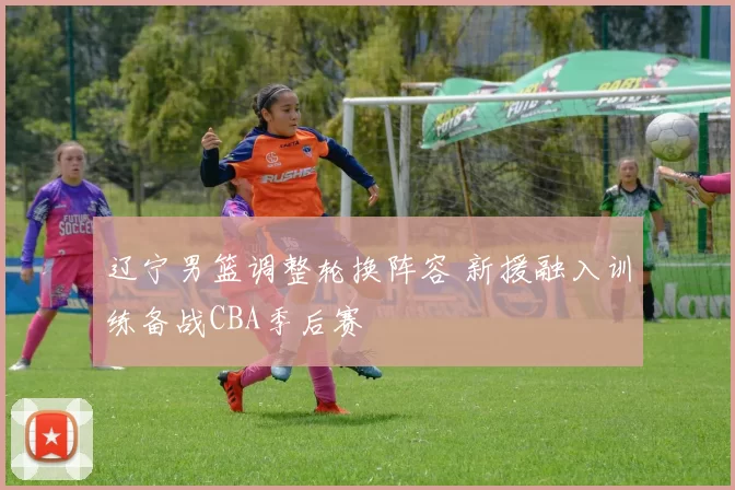 辽宁男篮调整轮换阵容 新援融入训练备战CBA季后赛