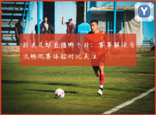 新浪足球直播哪个好：赛事解读与流畅观赛体验对比关注